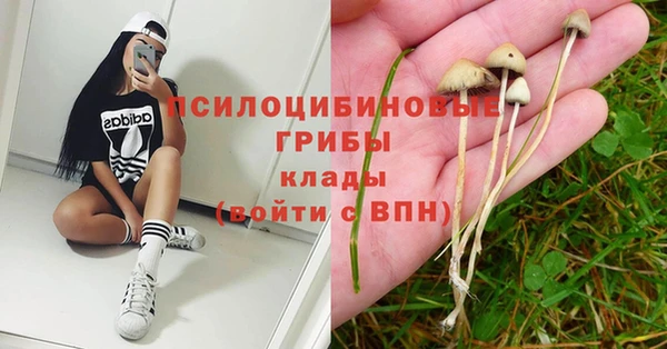 Альфа ПВП Абинск
