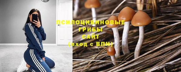 прущие крисы Абаза
