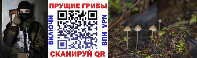 купить наркотики цена  Нариманов  Псилоцибиновые грибы GOLDEN TEACHER 